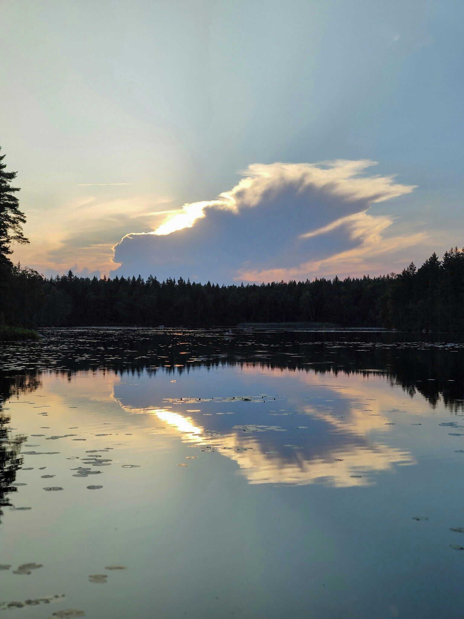 Ein ruhiger See mit Spiegelungen von Bäumen und einem bewölkten Himmel.
