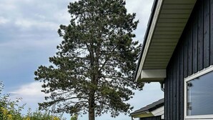 Une maison avec un grand arbre devant, entourée d’un jardin où poussent différentes plantes et fleurs.