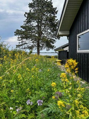 Ein Haus mit einem großen Baum davor, umgeben von einem Garten mit verschiedenen Pflanzen und Blumen.