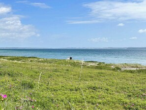 A coastal landscape with a grassy foreground and a view of the sea. - Holiday home with panoramic view of Aarhus Bay (Knebel)