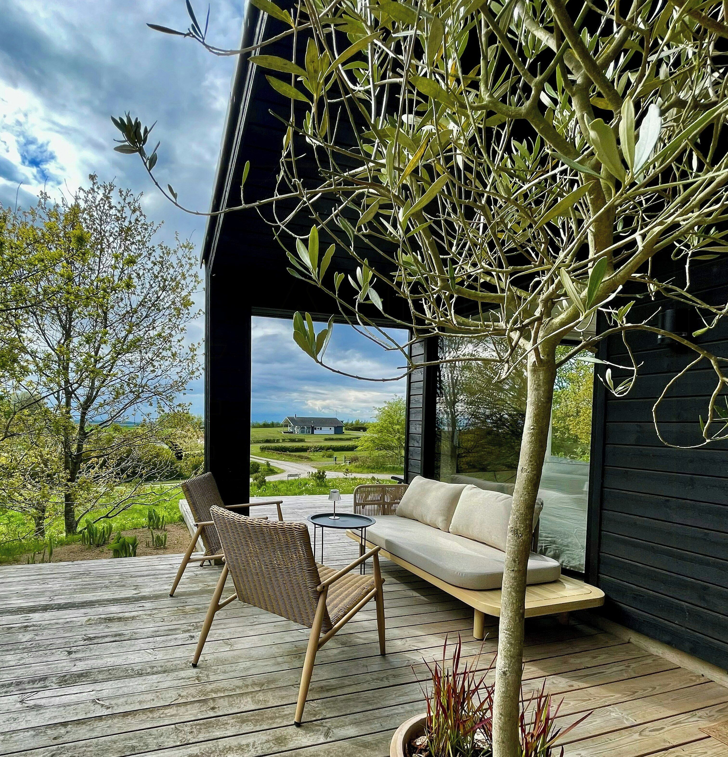 A modern outdoor seating area with a sofa and chairs, a potted plant, and a view of a house in the distance.