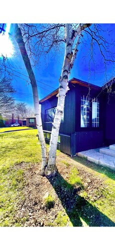 Cozy 1-bedroom in basement house in adorable Richmond Hill with AC
