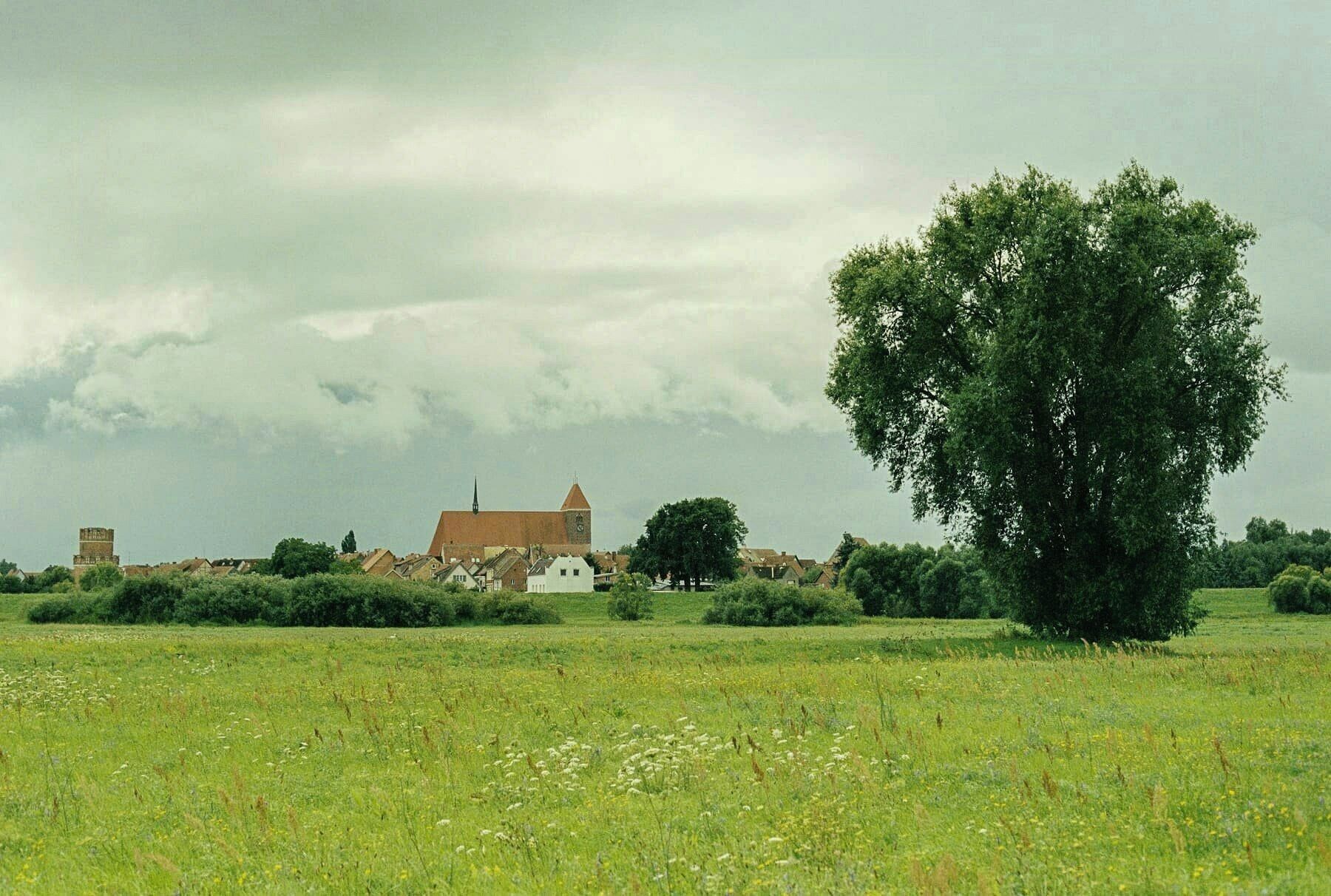 A rural landscape with a church, a large tree, and a field.