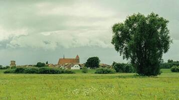 A rural landscape with a church, a large tree, and a field.