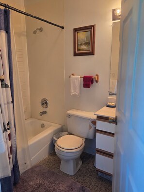 Hair dryer, towels, soap, toilet paper - Cozy 3 bedroom cabin steps away from Lake Superior (Bayfield)