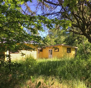 A yellow building with a door and windows, surrounded by trees and grass. - Swedish-inspired home in Odden's forest (Sjællands Odde)