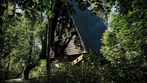 Une structure en bois dotée d’un toit en pente, entourée d’un feuillage dense.