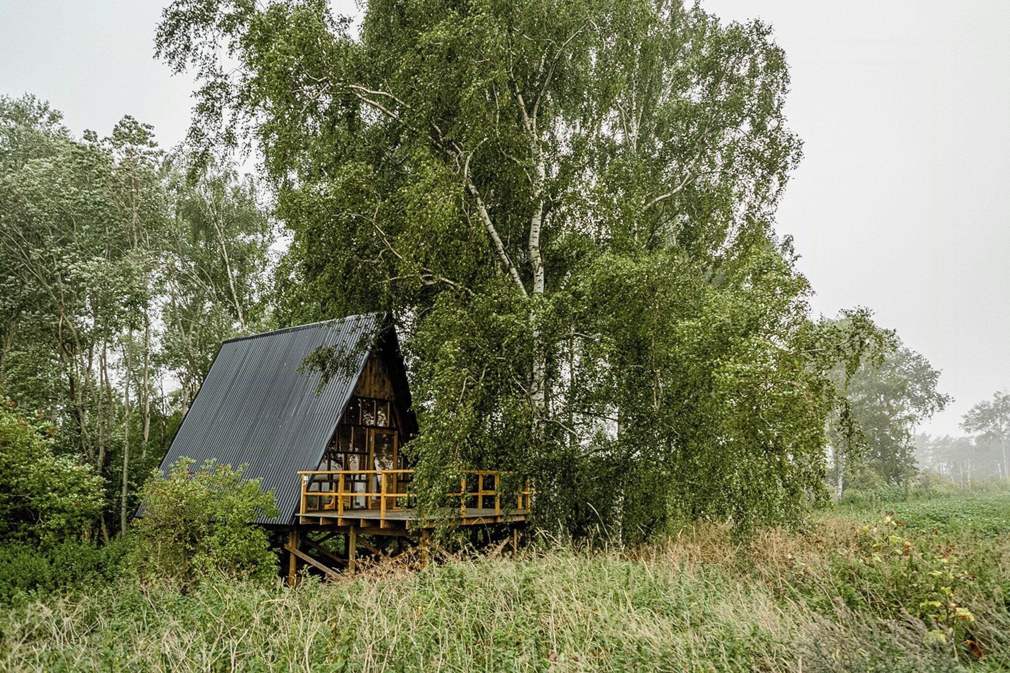 A rustic cabin with a sloped roof, wooden deck, and surrounded by dense forest.