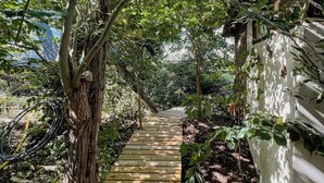 Un sentier en bois, bordé d’une végétation luxuriante et d’un mur blanc.
