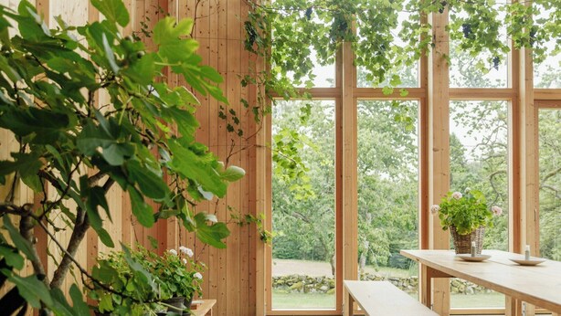 Ein Zimmer mit Holzwänden, großen Fenstern und Zimmerpflanzen.