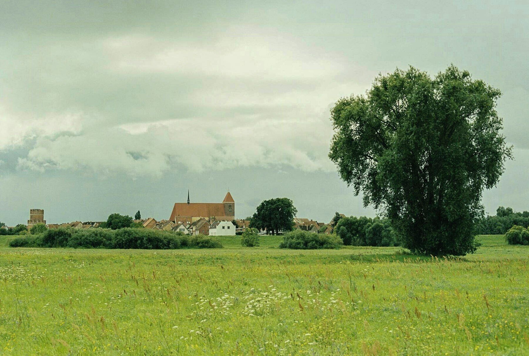 A rural landscape with a church, a large tree, and a field.