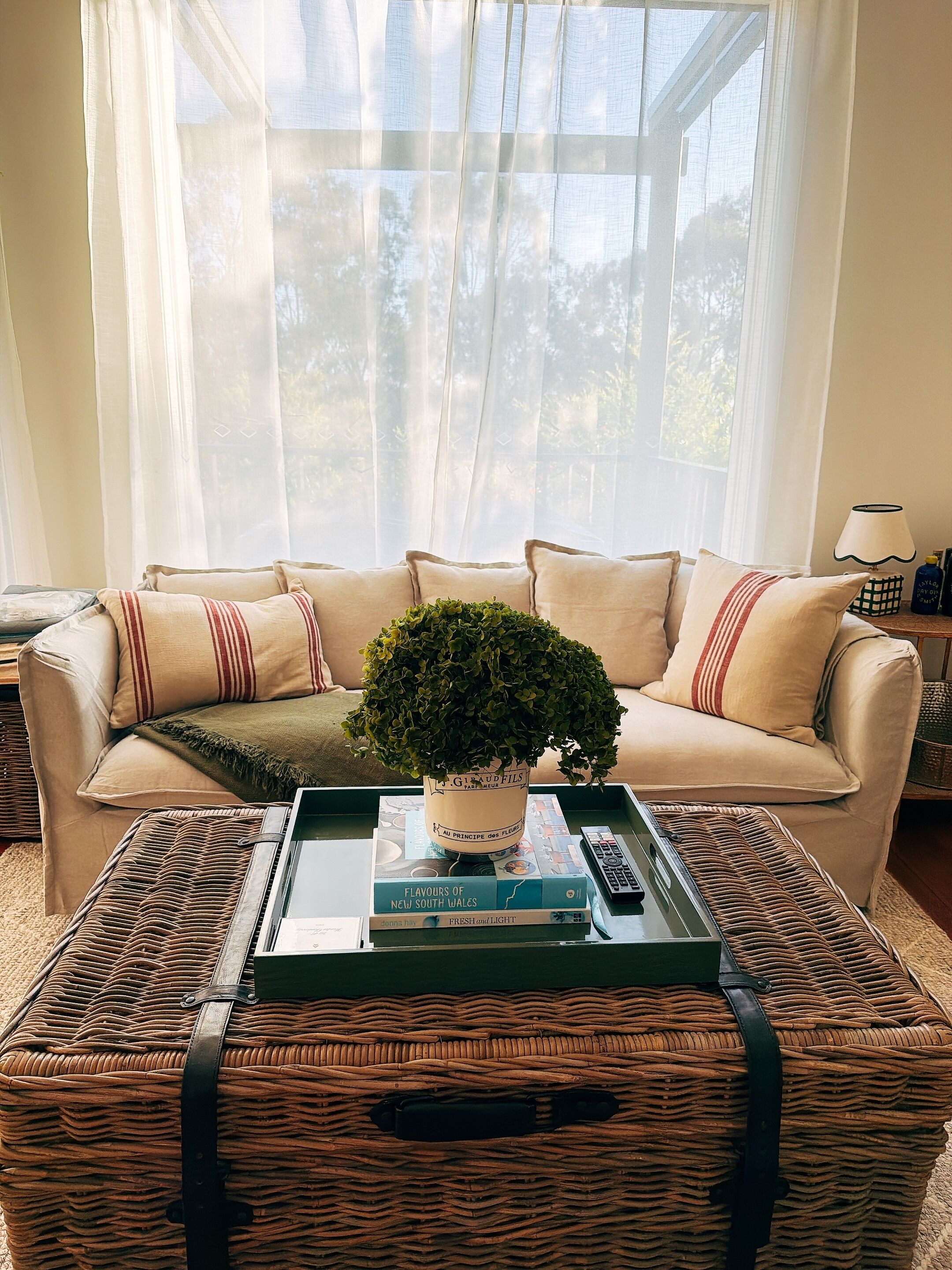 Smart TV, fireplace, DVD player, books