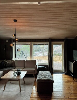 Fernseher, Kamin