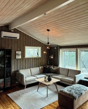 Fernseher, Kamin