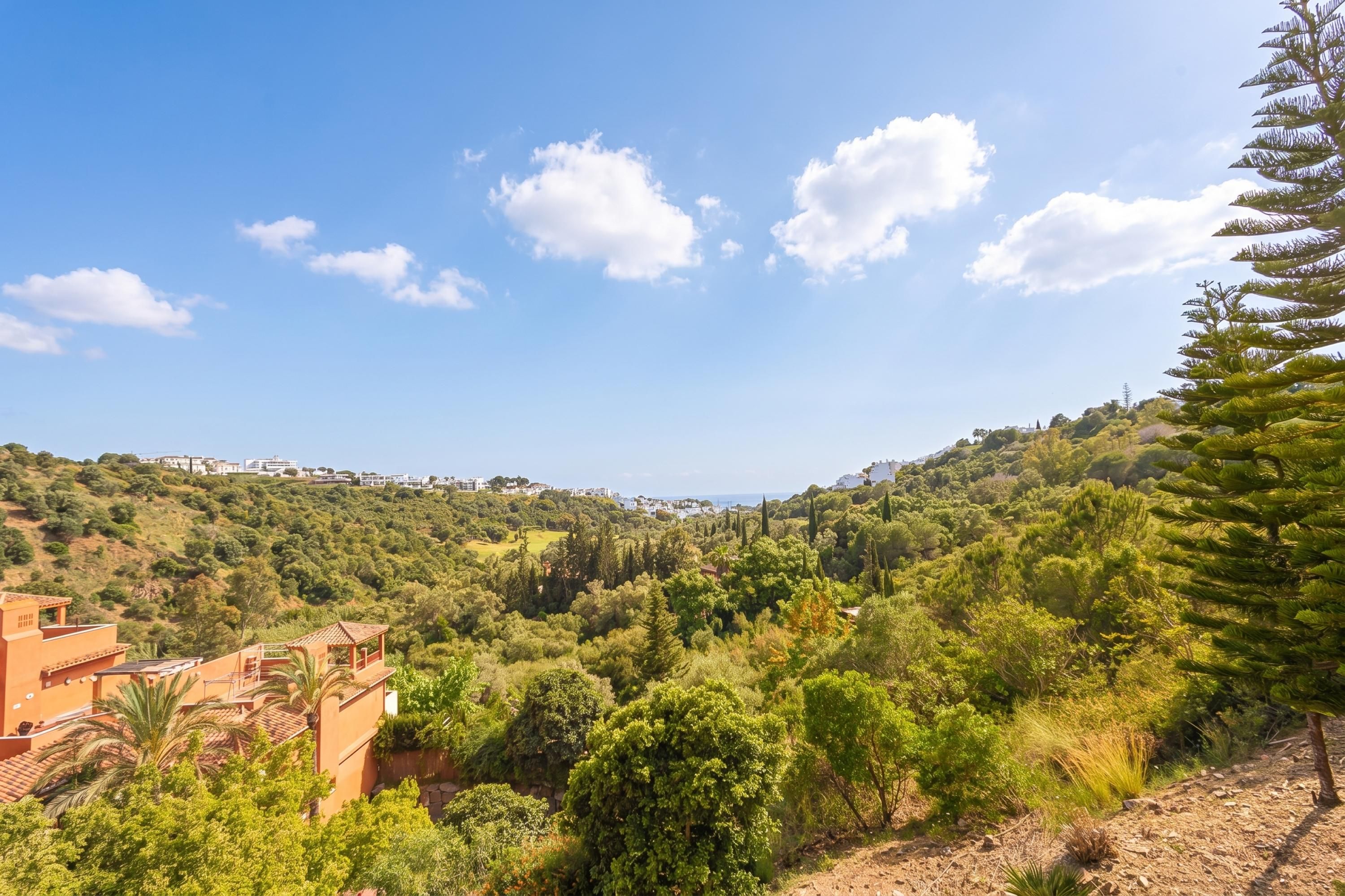 A hillside landscape with buildings, trees, and a clear sky.