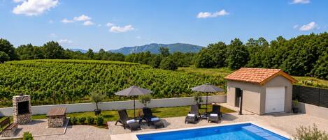 A pool area with lounge chairs and umbrellas, surrounded by a vineyard and a mountain in the background.