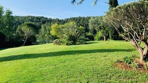 A grassy field with trees and a forested hill in the background. - SPACIOUS VILLA, TENNIS COURT, LARGE PARK (Cuers)
