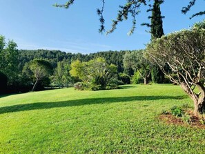 A grassy field with trees and a forested hill in the background. - SPACIOUS VILLA, TENNIS COURT, LARGE PARK (Cuers)