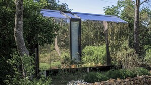 Een glazen constructie met een reflecterend oppervlak, omringd door natuurlijke beplanting en een stenen muur.