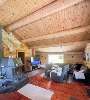 Una televisión, una chimenea