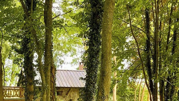 A rustic wooden house surrounded by tall trees and a grassy path. - Cottage in château grounds near Rouen (Limésy)