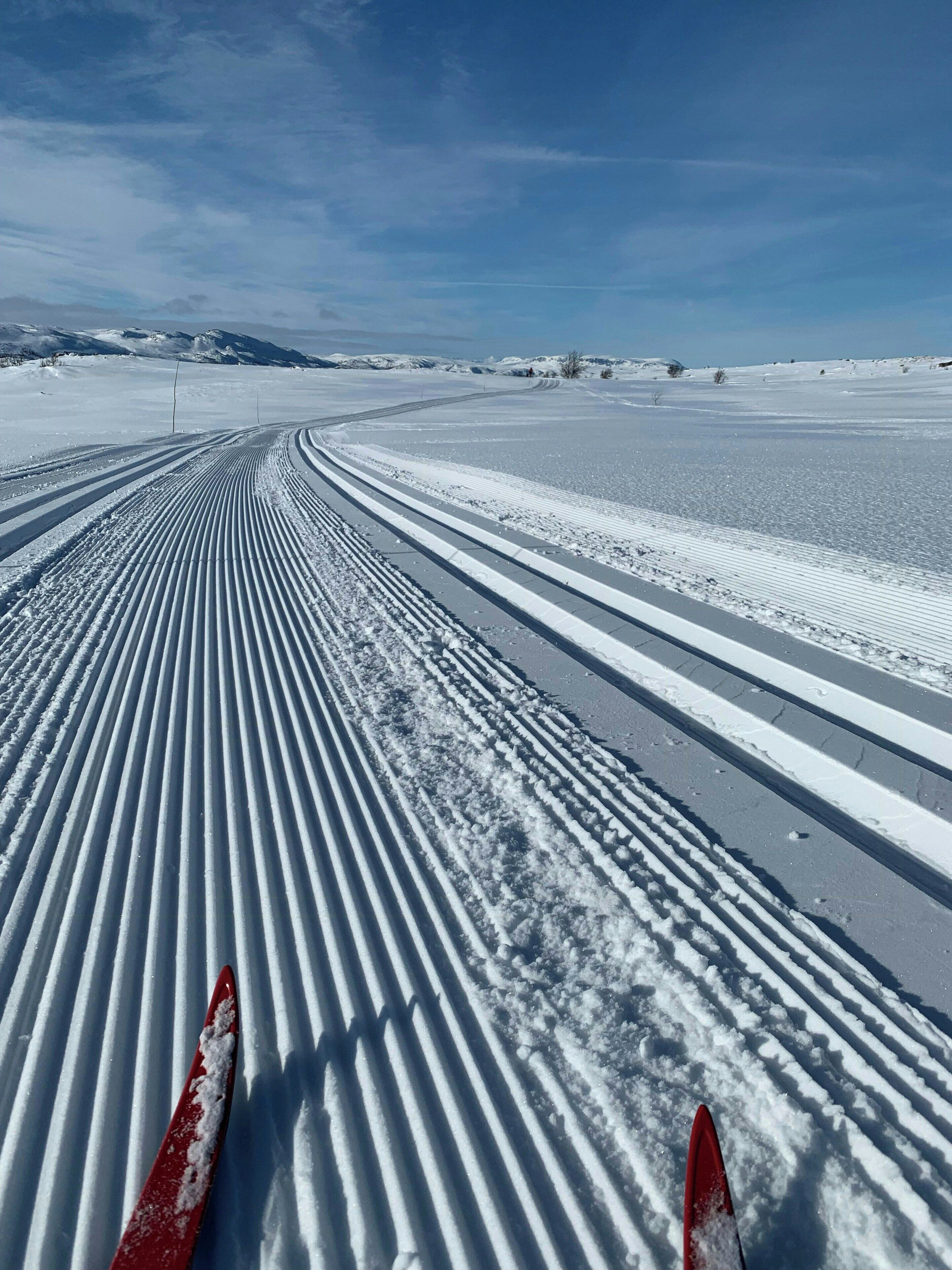 Snø- og skisport