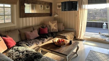 Fernseher, Kamin