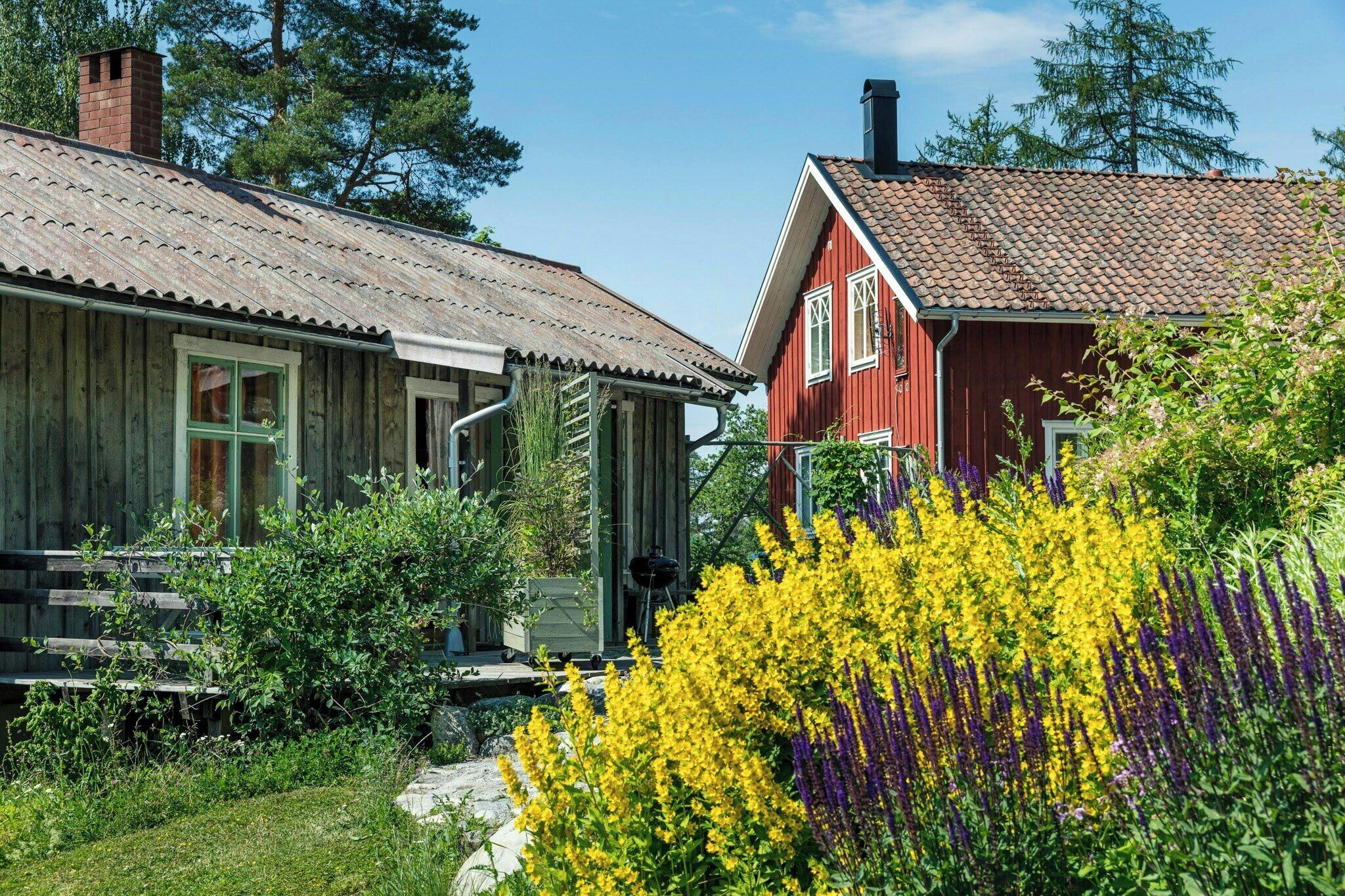 Eksteriør