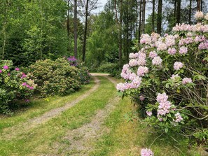 Ulkoalueet