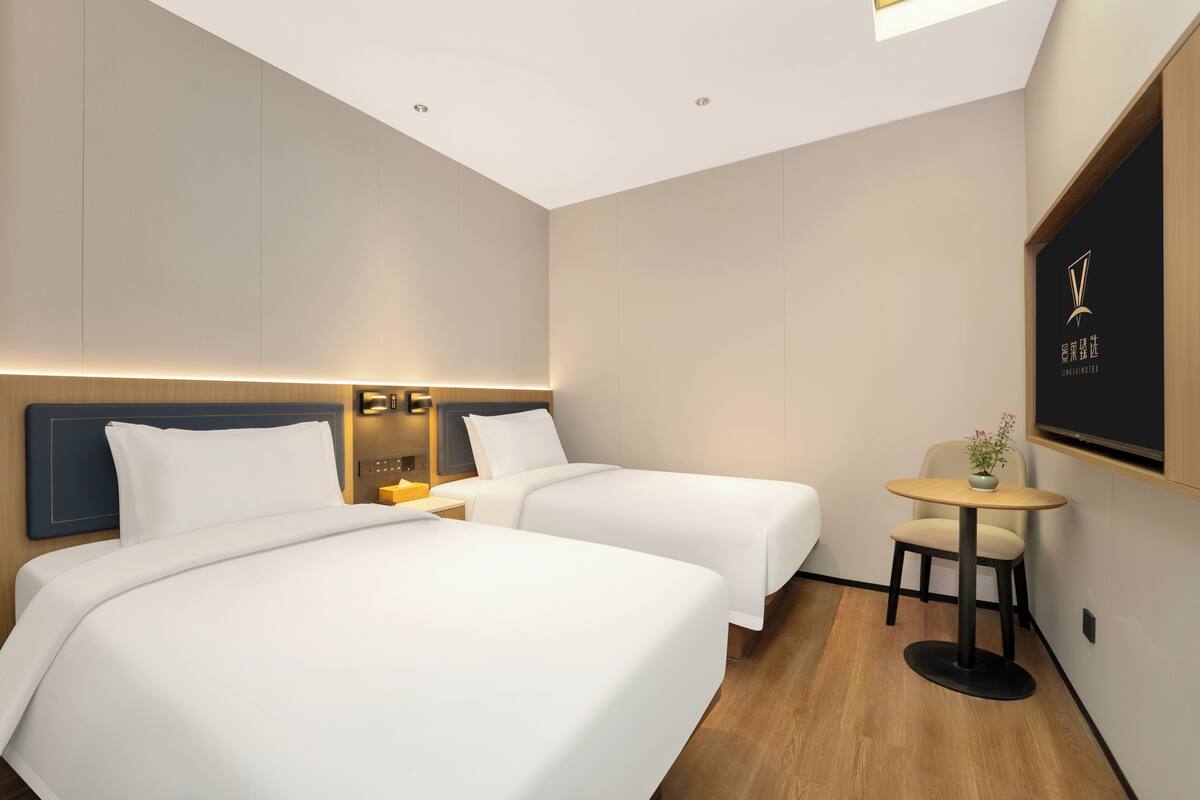 Habitación de hotel con dos camas, una mesita con una planta, un televisor en la pared y una lámpara en el techo.