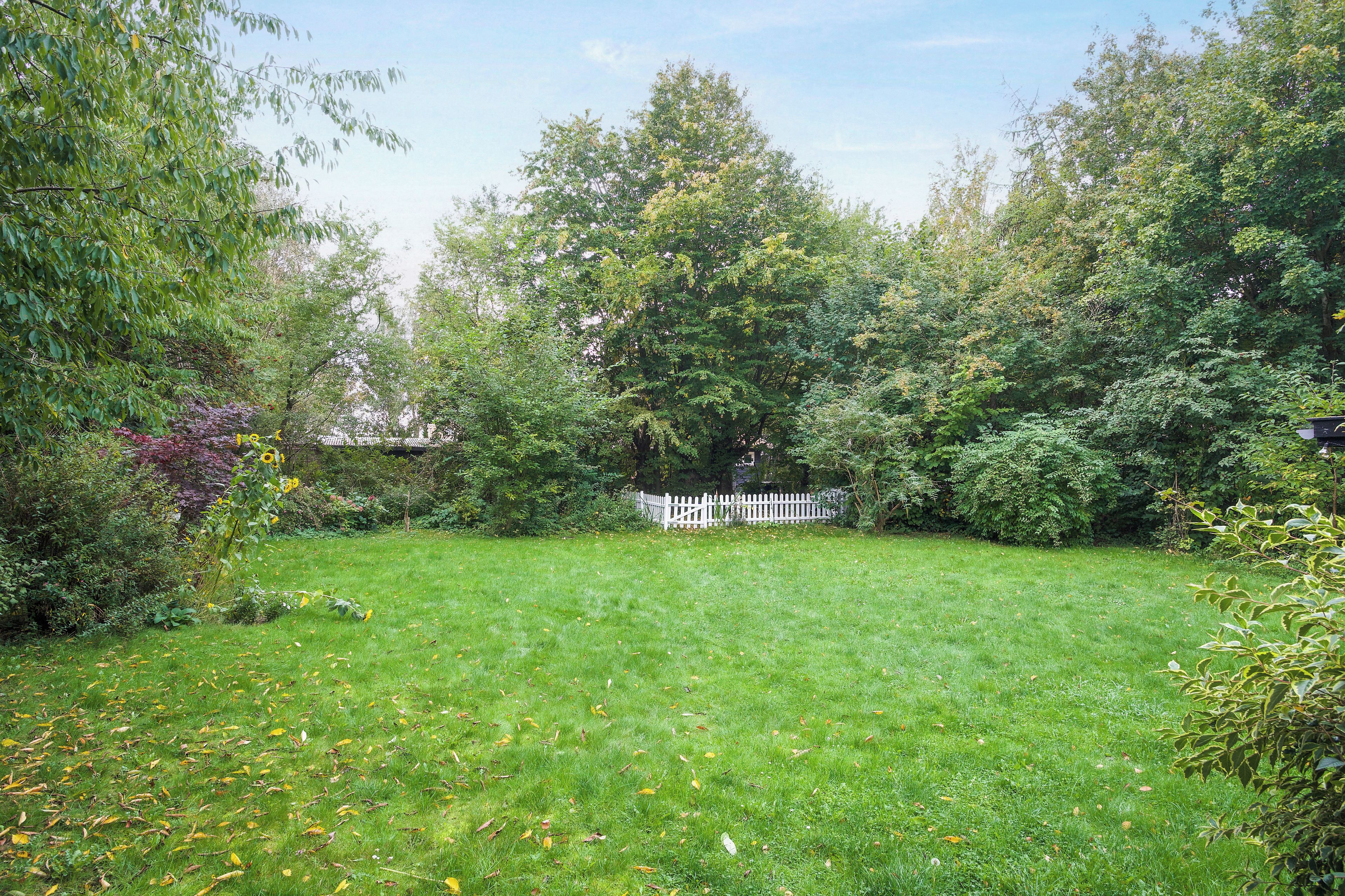 Une pelouse verdoyante et bien entretenue, bordée d’une clôture blanche et entourée d’un feuillage dense.