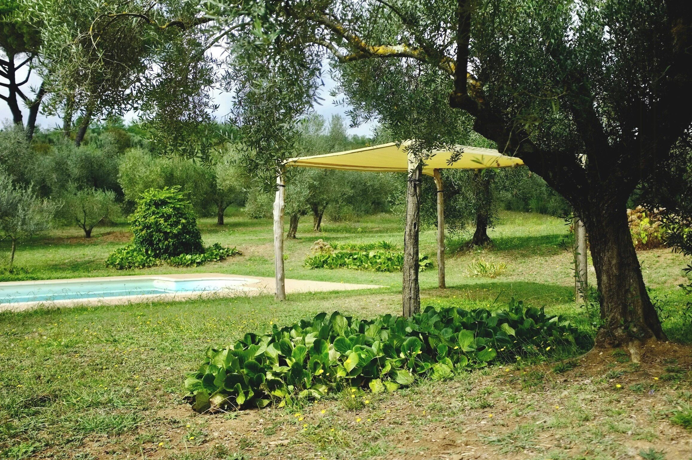 Áreas de la propiedad