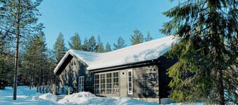 Spacious mountain cabin among birches in Vemdalen