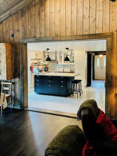 Spacious mountain cabin among birches in Vemdalen