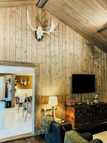 Spacious mountain cabin among birches in Vemdalen
