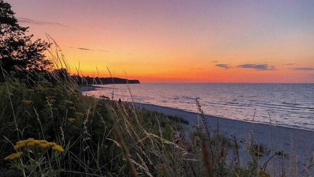 A coastal landscape with a sunset, vegetation, and a calm sea.