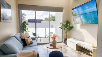 TV, computer monitors