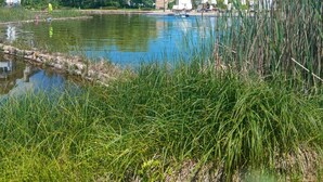 A lakeside view with a building in the background. - Apartment mit 2 Schlafzimmern in Obzor - 6 Pools & Bio- See (Obzor)