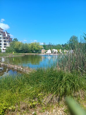 Une vue sur le lac avec un bâtiment en arrière-plan.