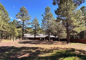 A cabin surrounded by tall pine trees, with a clear sky.