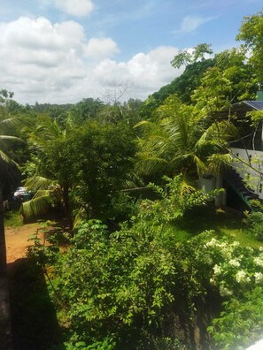 Property grounds - Idyllically situated villa 2nd floor with 4 bedrooms, approx. 1.5 km from the sea (Hikkaduwa)