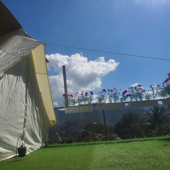 Tenda, pemandangan kebun | Halaman properti