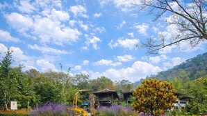 Un sendero en un jardín que conduce a un edificio rodeado de flores y árboles coloridos.