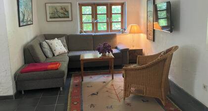 Cozy thatched house in the countryside, dogs welcome! 5 minutes walk from the beach