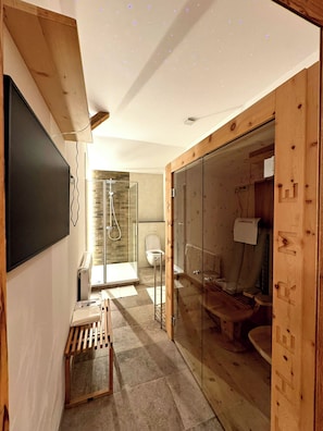 A modern bathroom with a shower, toilet, and glass-enclosed walk-in closet.