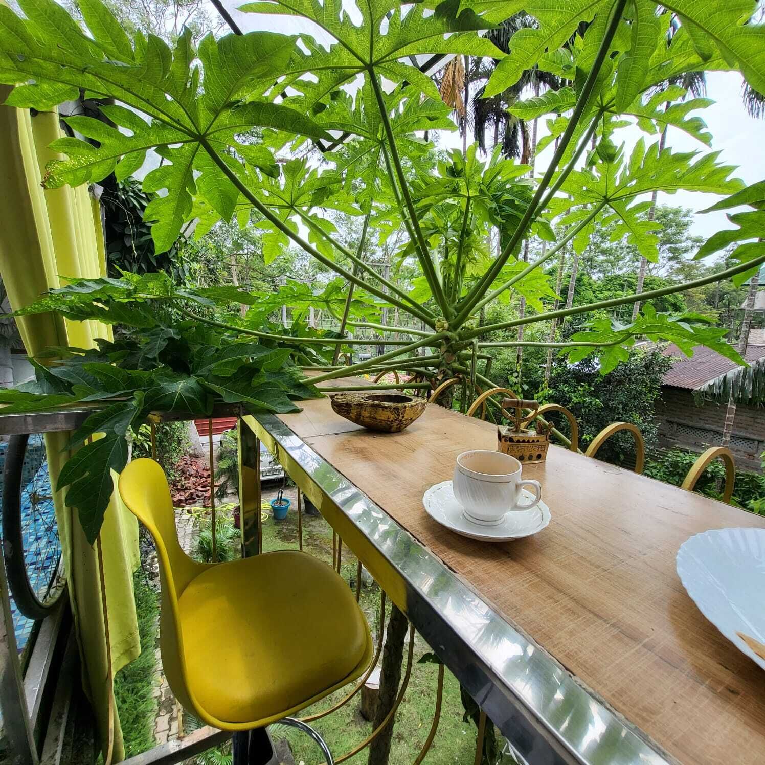 Luxury Double Room, Garden View | Balcony