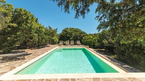 Una piscina rectangular con agua cristalina, rodeada de baldosas de piedra y bordeada por árboles.