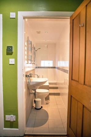 Een badkamer met toilet, wastafel en douchegedeelte, met een groene wand en een houten deur.