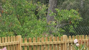 A wooden fence with pink flowers in the foreground.