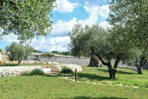 Un muro de piedra, olivos y un área con césped.